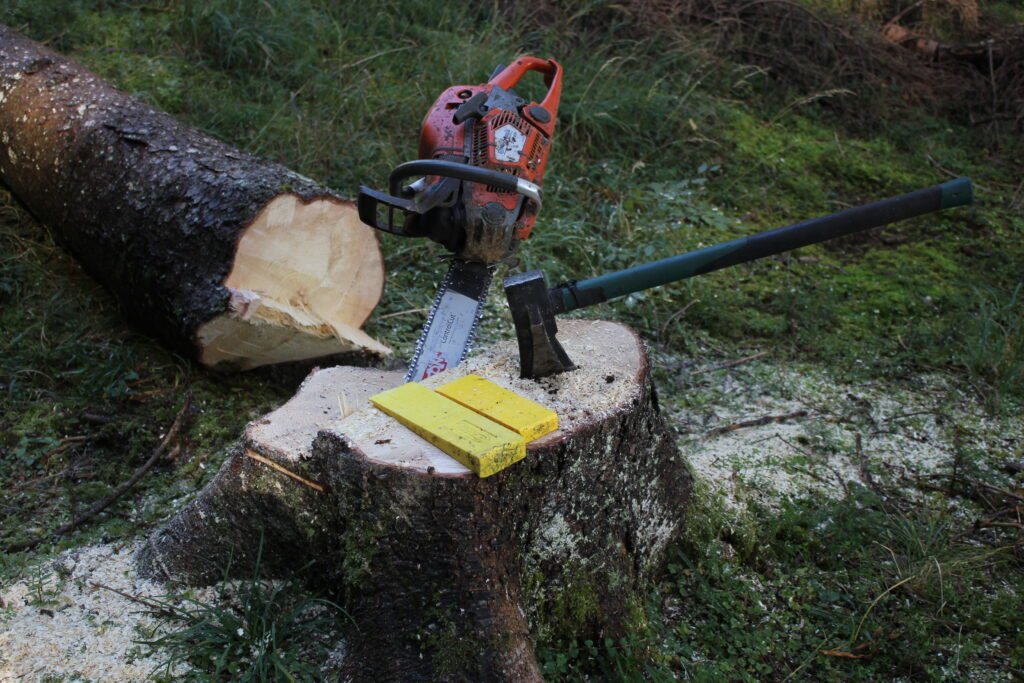 Holzschlägung Tirol
